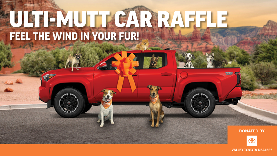 Win a 2026 Toyota Tacoma TRD and Help Homeless Pets - Arizona