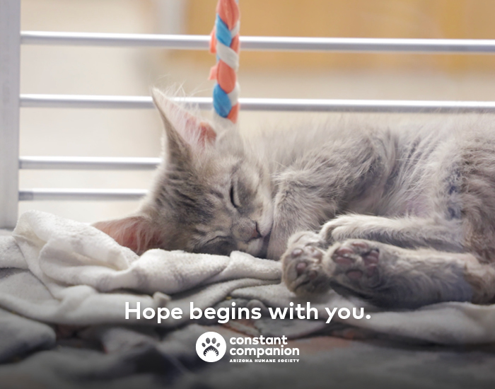 Hope begns with you. Constant Companion.