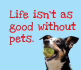 "Life Isn't As Good Without Pets" Adoption Campaign