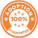 100% Adoption Guarantee
