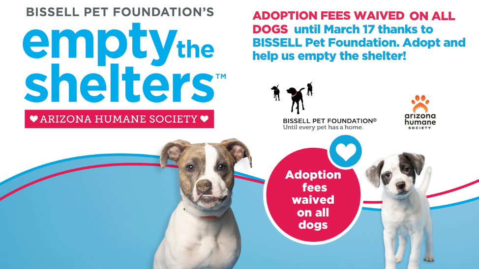 Adoption Special until March 17 at Arizona Humane Society