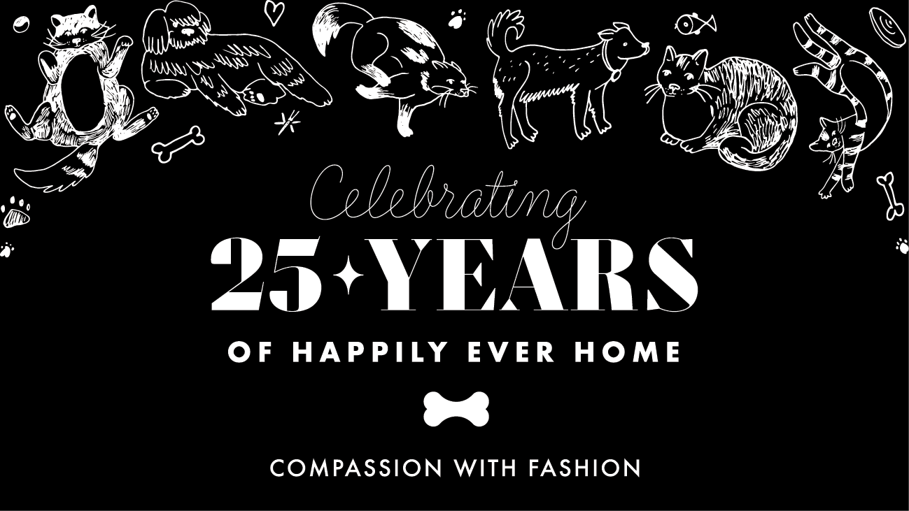Compassion with Fashion Header Website