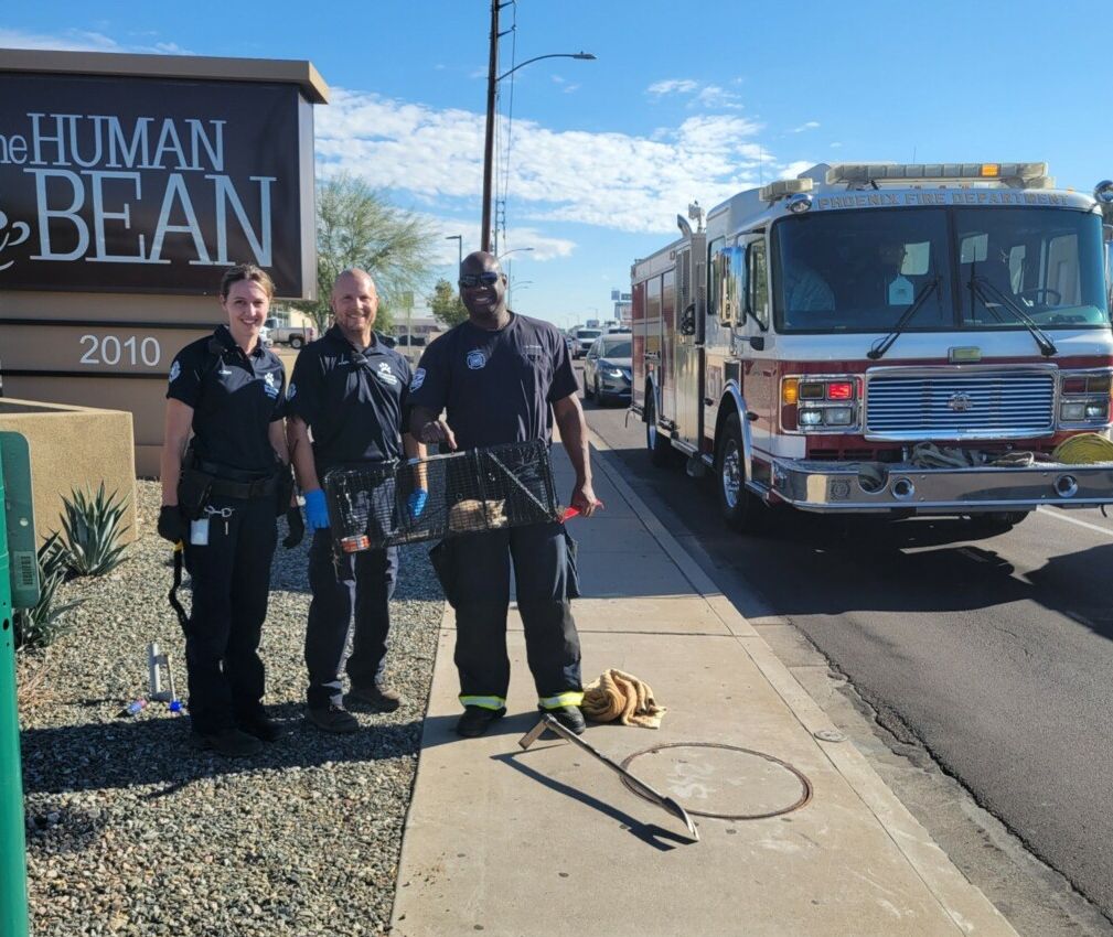 EAMTs and Phoenix Fire Department rescue kitten