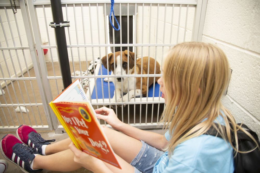 Education Outreach - Reading Fur Fun - read dog