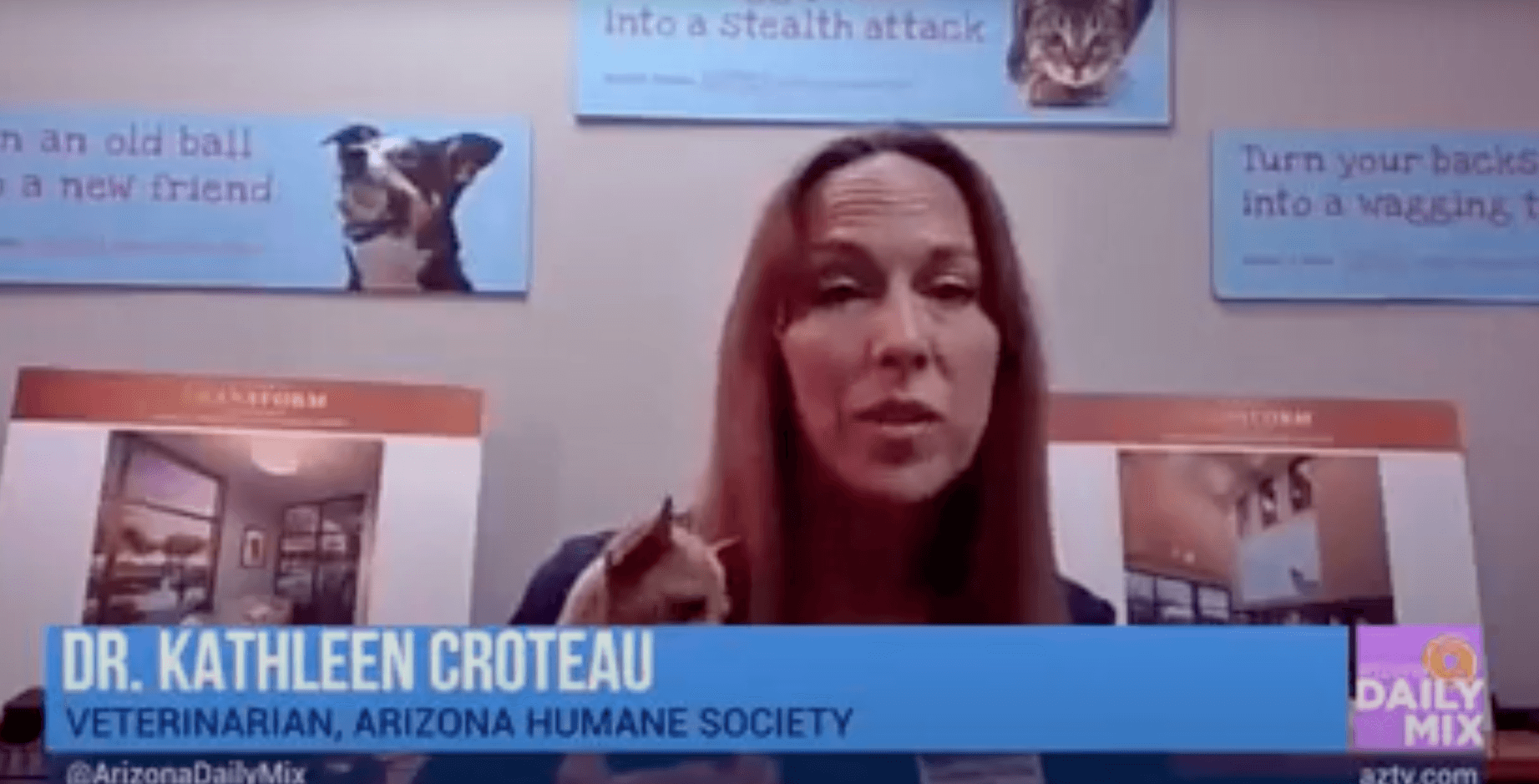 Vet, Kathleen Croteau, appears on the news