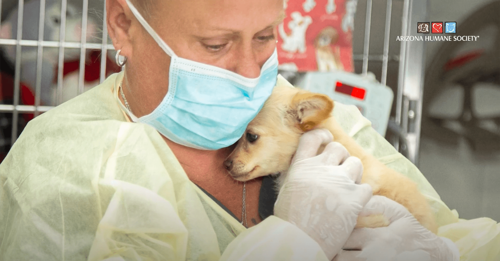 a vet with a mask hugs a small dog