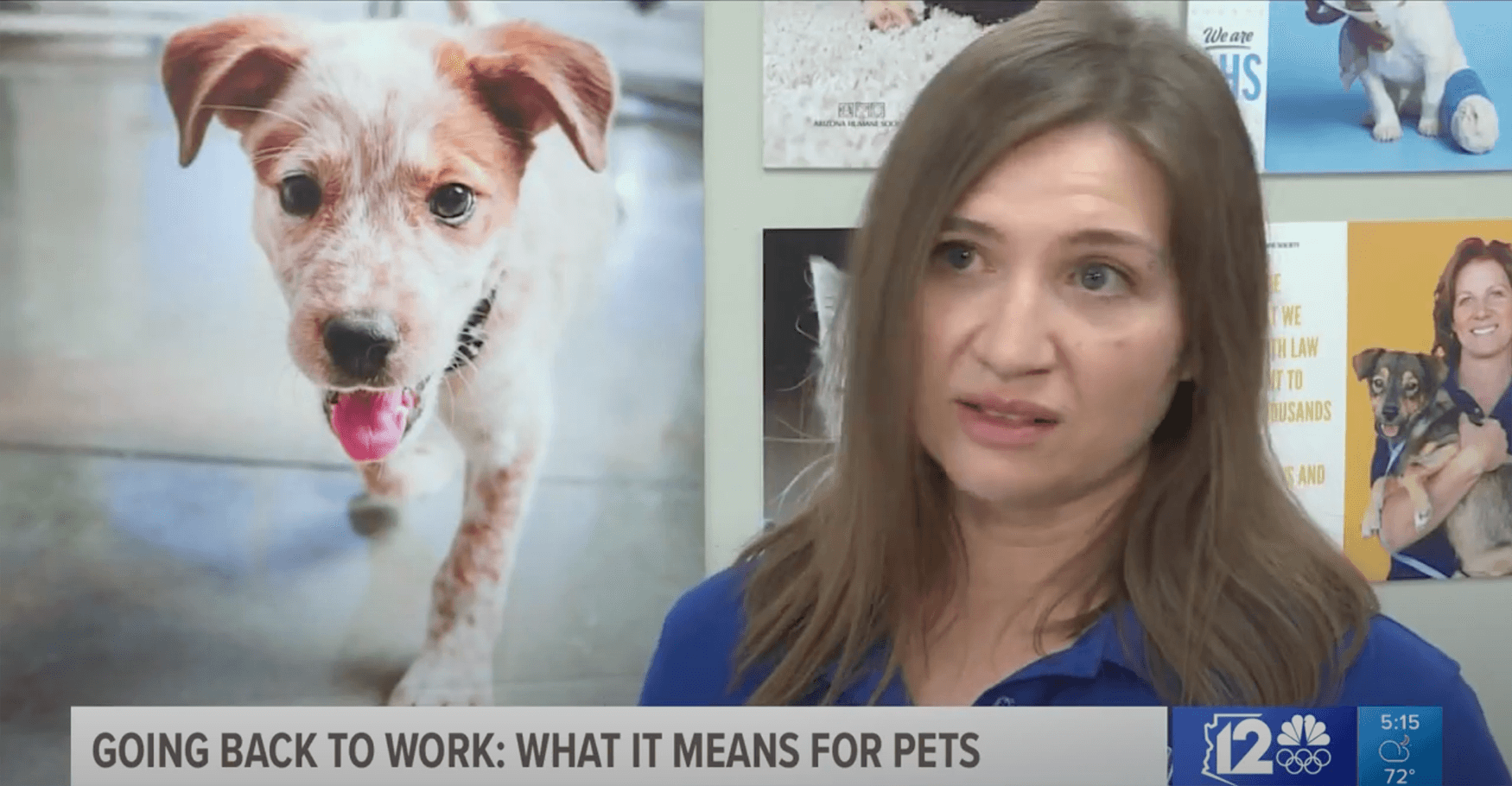 AHS discusses post-quarantine for pets on the news