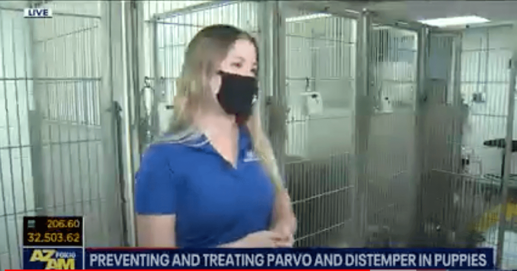 AHS discussing pet Parvo on the news