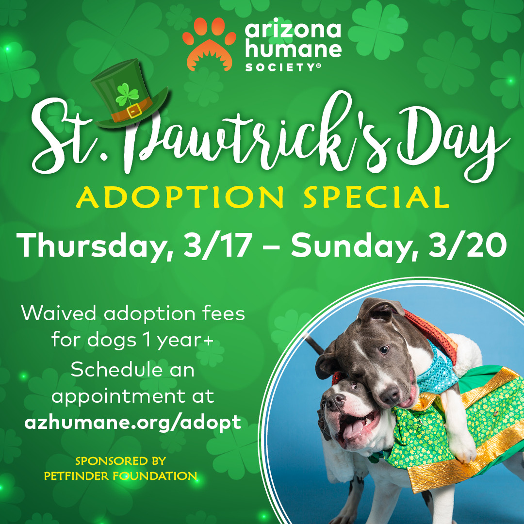 St. Pawtrick's Day Adoption Special