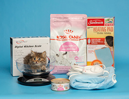 care in place kitten supplies