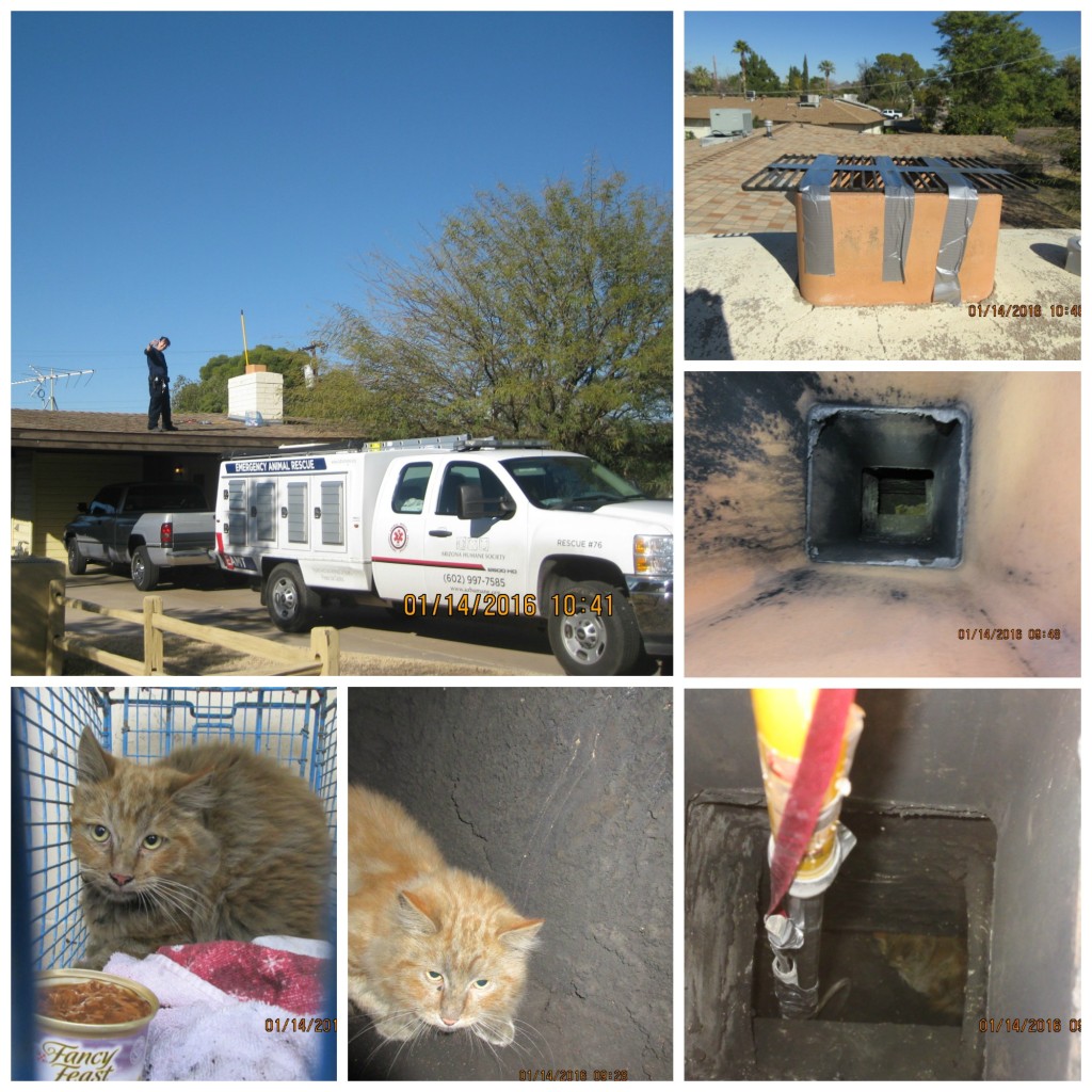 chimney-rescue-collage