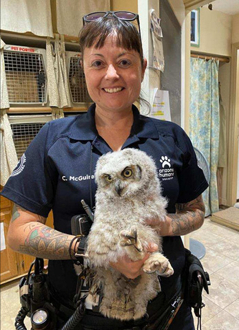 EAMT Cynthia with baby owl