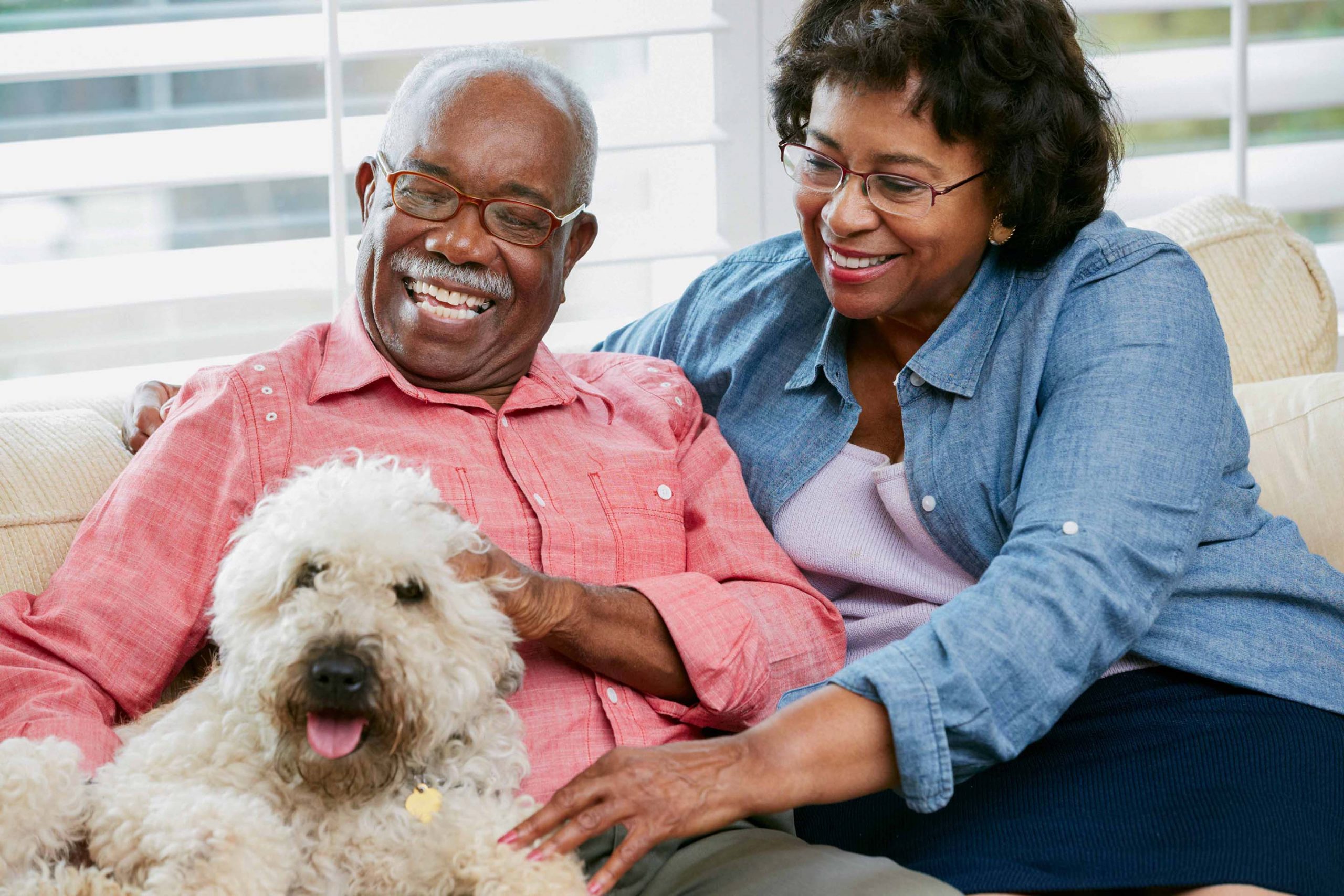 Happy Senior Couple Sitting On Sofa With Dog