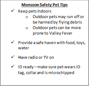 Monsoon Safety Pet Tips