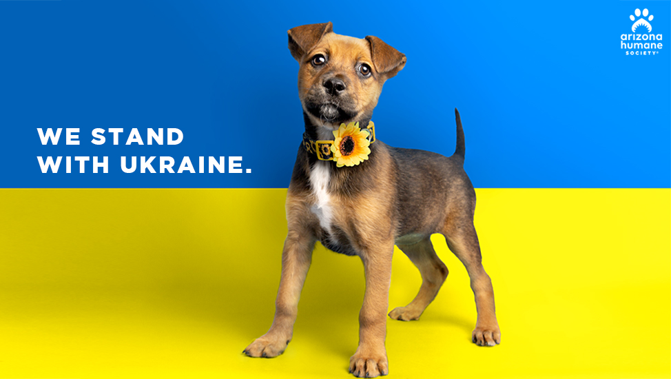we stand with ukraine photo with puppy